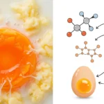 eggs for toddlers breakfast : a recipe for brain-boosting